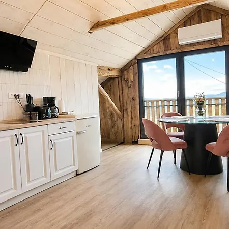 Lägenhet Charming Wooden Loft In A Restored 1920s House Kobarid
